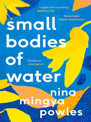 cover image of Small Bodies of Water